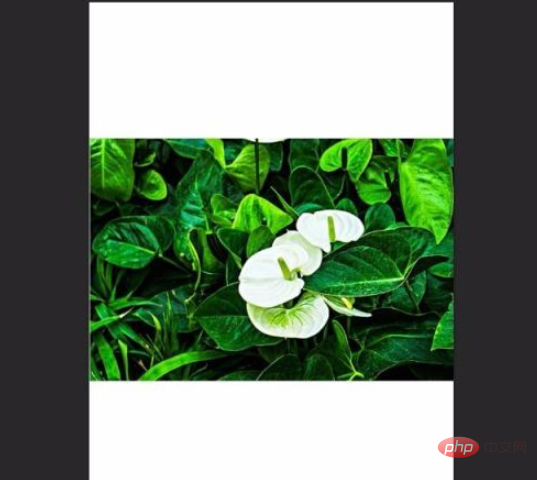 ps如何旋转画布