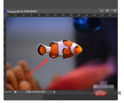 1611714042856425.png ps怎么复制粘贴图形