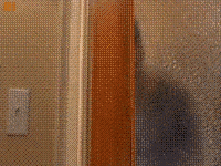 20210713050516196704217