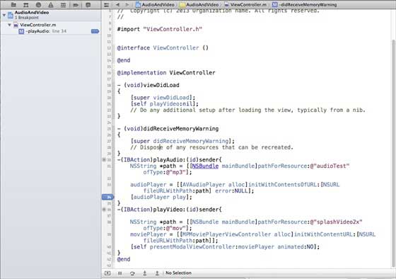 2021071305344618481220 debug_Breakpoint
