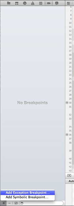 2021071305344813876973 debug_ExceptionBreakpoint