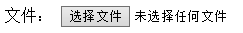 HTML自定义input[type="file"]的CSS样式