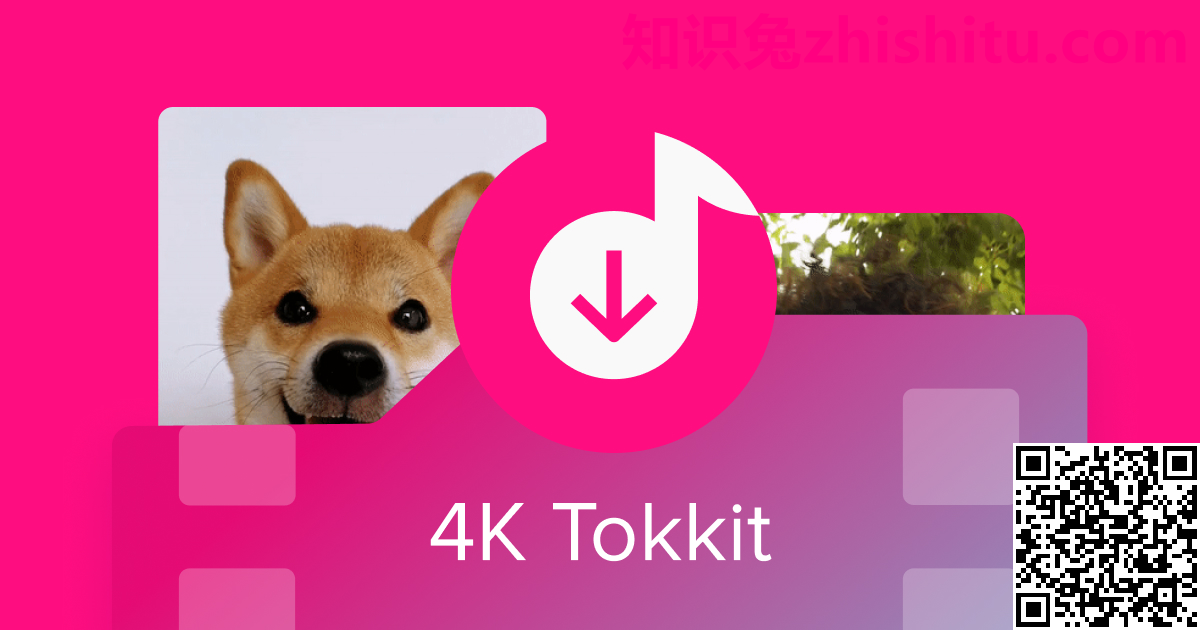 4K Tokkit Pro v1.4.0.0380 批量下载器