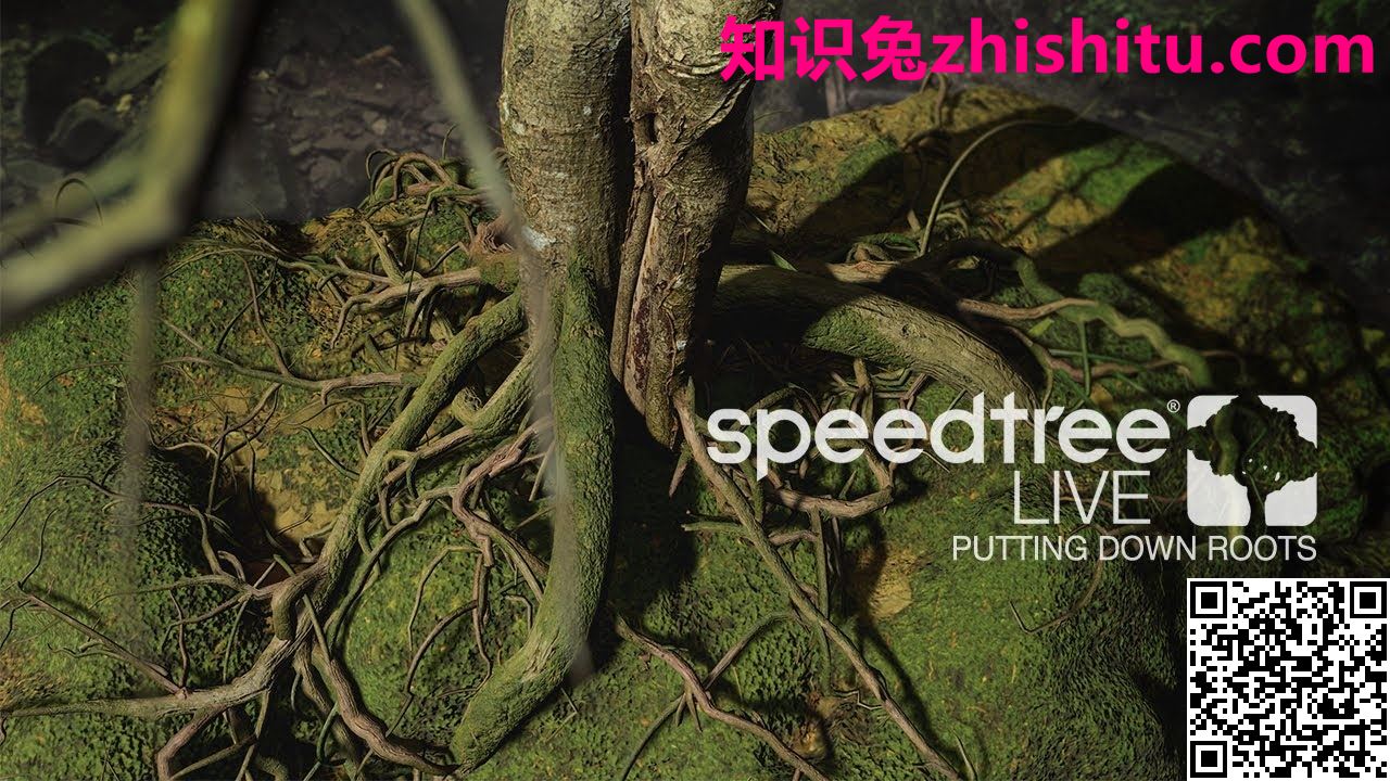 SpeedTree Modeler v9.2 Cinema Edition 3D植物树木建模软件
