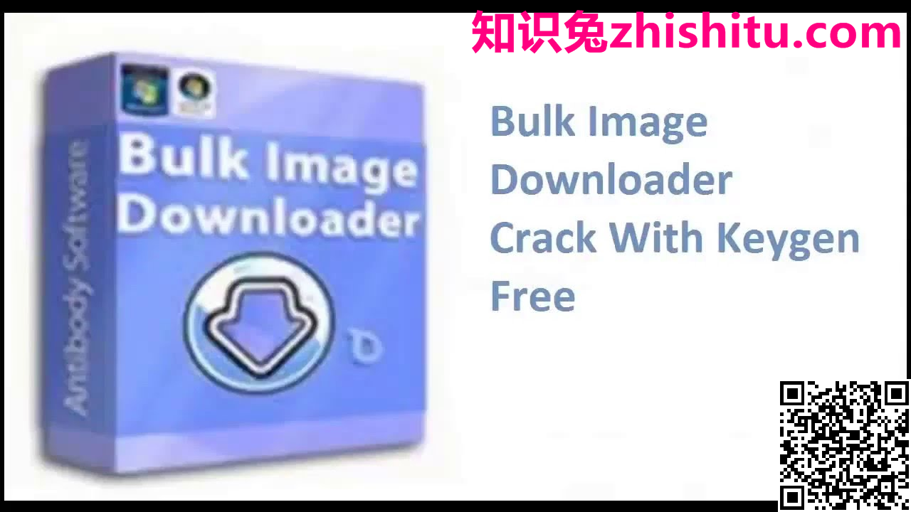 Bulk 批量图像下载器 v6.13.0 免费下载