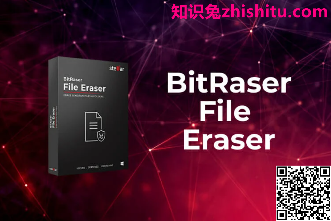 BitRaser File Eraser v5.0.0.3 Standard 数据文件擦除工具