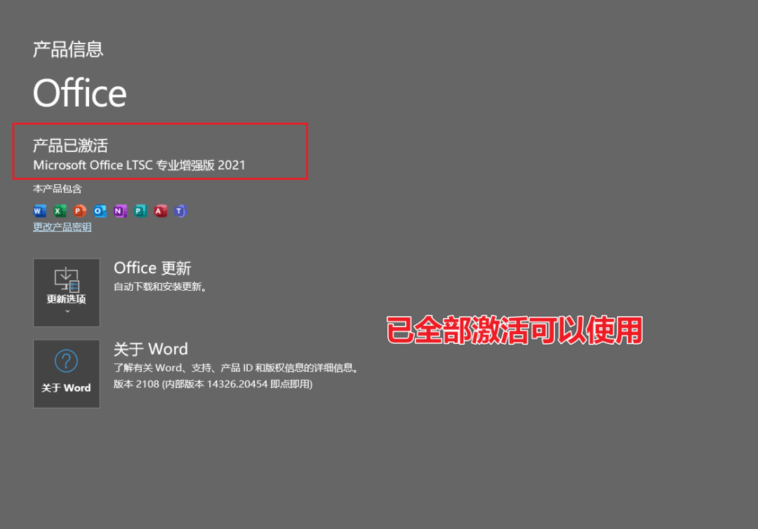 Office2021专业增强版免费下载及激活 安装教程-13