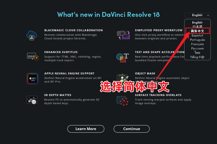 DaVinci 18 达芬奇最新破解版免费下载+安装教程，好莱坞级别调色软件-30