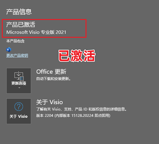 Office Visio 2021专业版免费下载及激活 安装教程-15