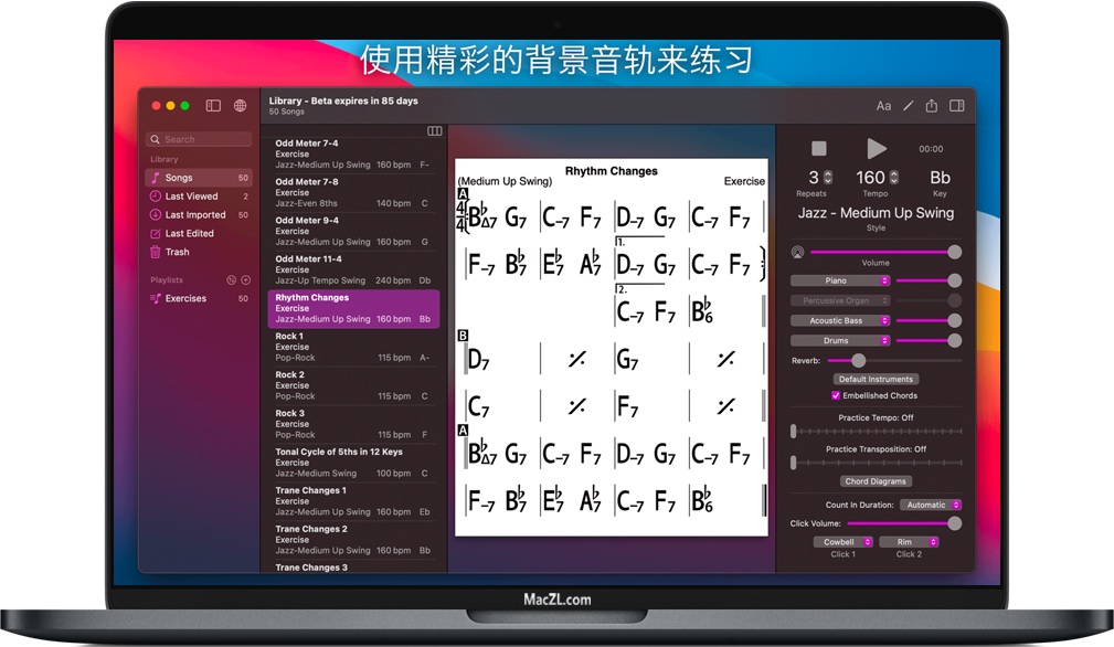 iReal Pro for Mac v2020.9 苹果音乐伴奏学习软件 中文破解版下载
