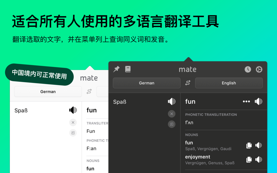 Mate Translate Mac版 v6.1.3 苹果电脑即时翻译软件 中文破解版下载