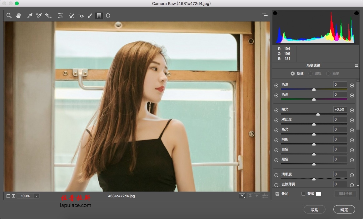 Adobe Camera Raw 11 for Mac 11.3.1 中文版Photoshop for Mac 软件 raw文件编辑插件