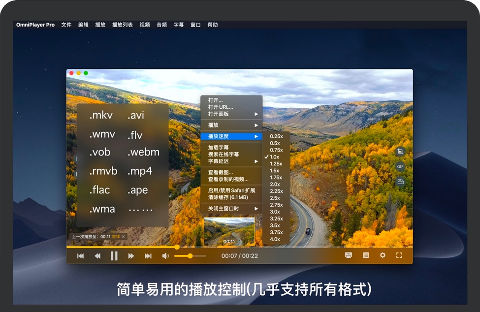 OmniPlayer Pro for Mac v2.0.16 苹果版媒体全能播放器 中文完整版免费下载