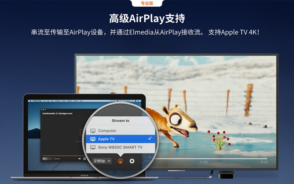 Elmedia Player Pro for Mac v7.12 媒体播放器 中文破解版下载