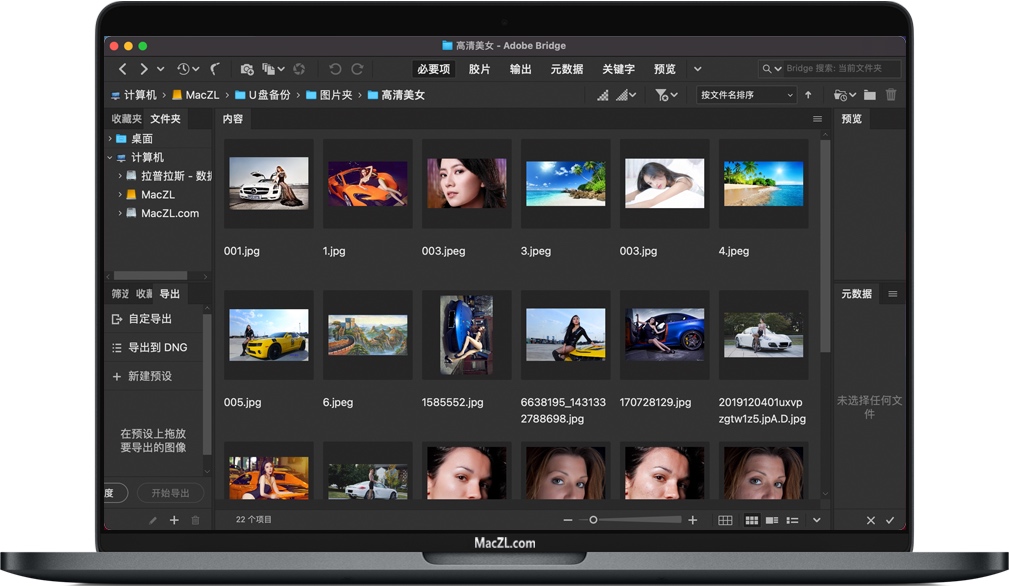Bridge 2021 for Mac v11.0.1 数字资产管理软件 中文一键安装版下载