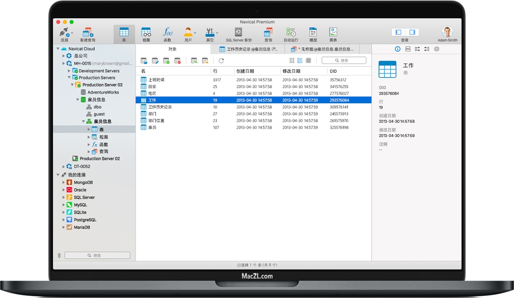 Navicat Premium for Mac v15.0.29 数据库管理软件 中文破解版下载