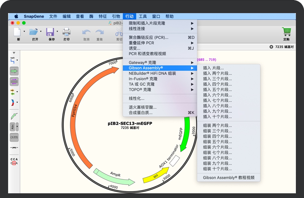 SnapGene for Mac v5.3.1 苹果分子生物学软件 中文破解版下载
