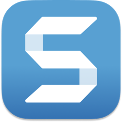 Snagit icon.png