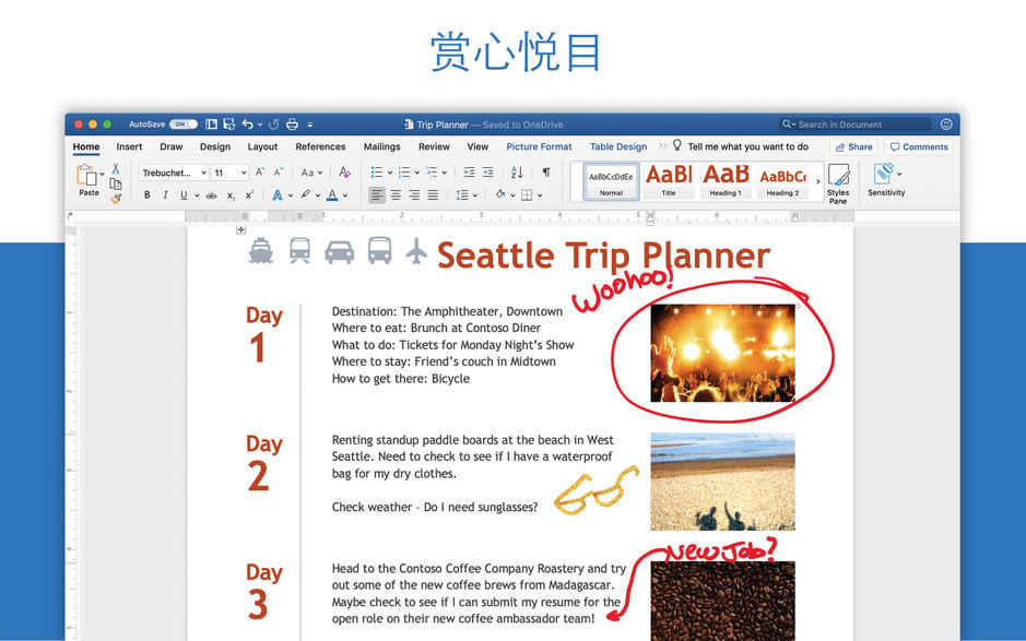 Microsoft Word 2019 for Mac v16.29 办公软件必备 中文破解版下载