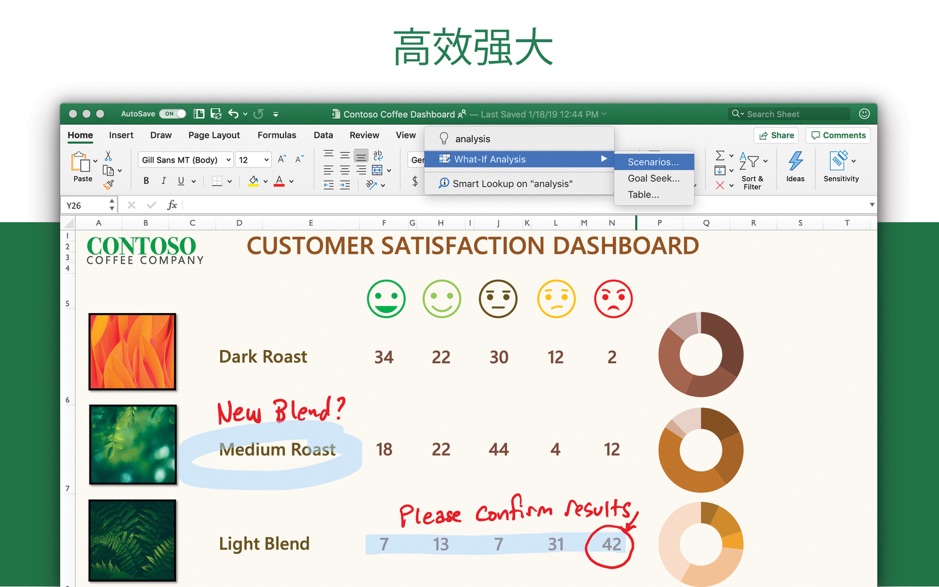 Microsoft Excel 2019 for Mac v16.29 必备办公软件 中文破解版下载