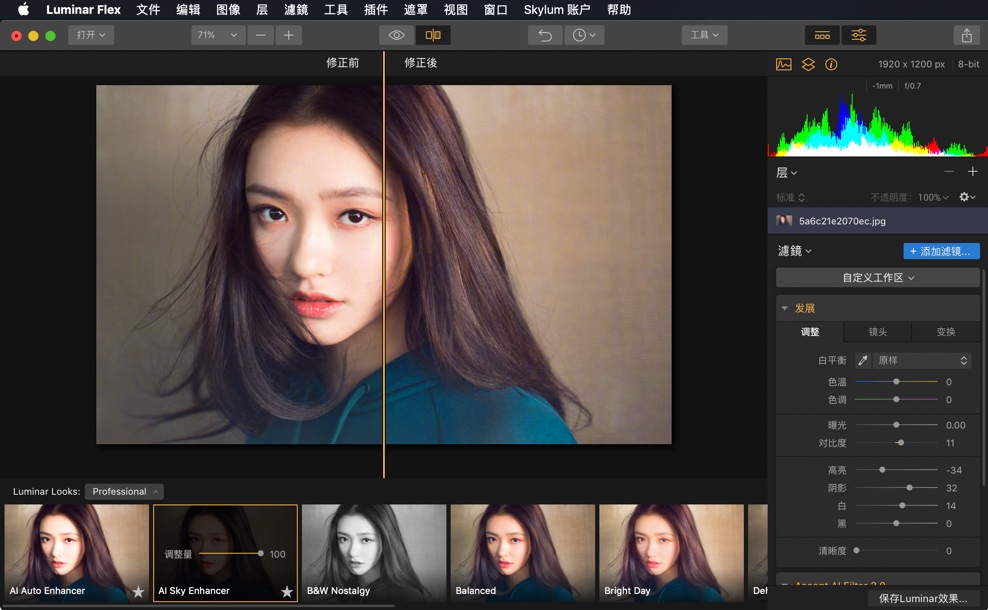 Luminar Flex Mac版 v1.1.0 智能的照片编辑器 中文破解版下载