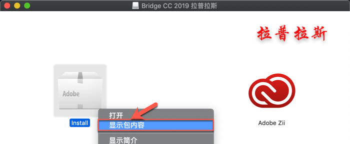 Adobe Bridge_2.png