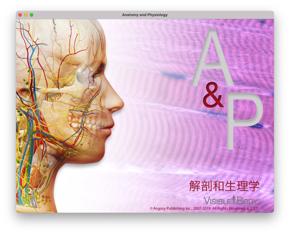 Anatomy & Physiology for Mac v6.2.07 解剖和生理学 中文破解版下载