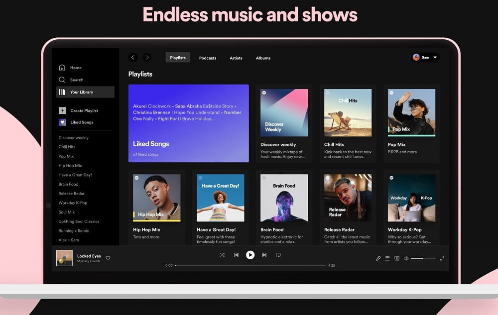 Spotify for Windows 流媒体音乐播放软件中文绿色便携版-1