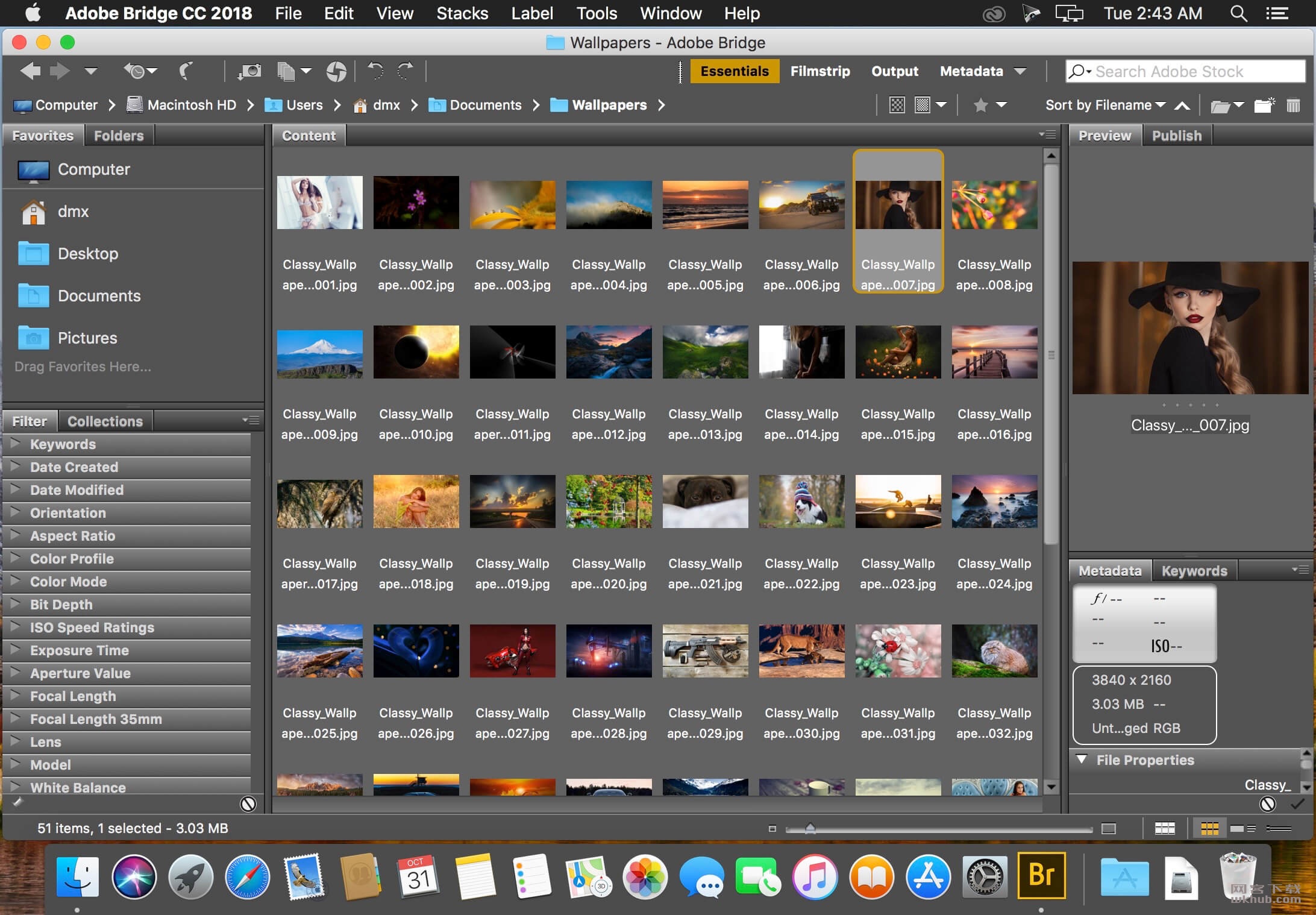 Adobe Bridge 13.0.4 文件浏览软件