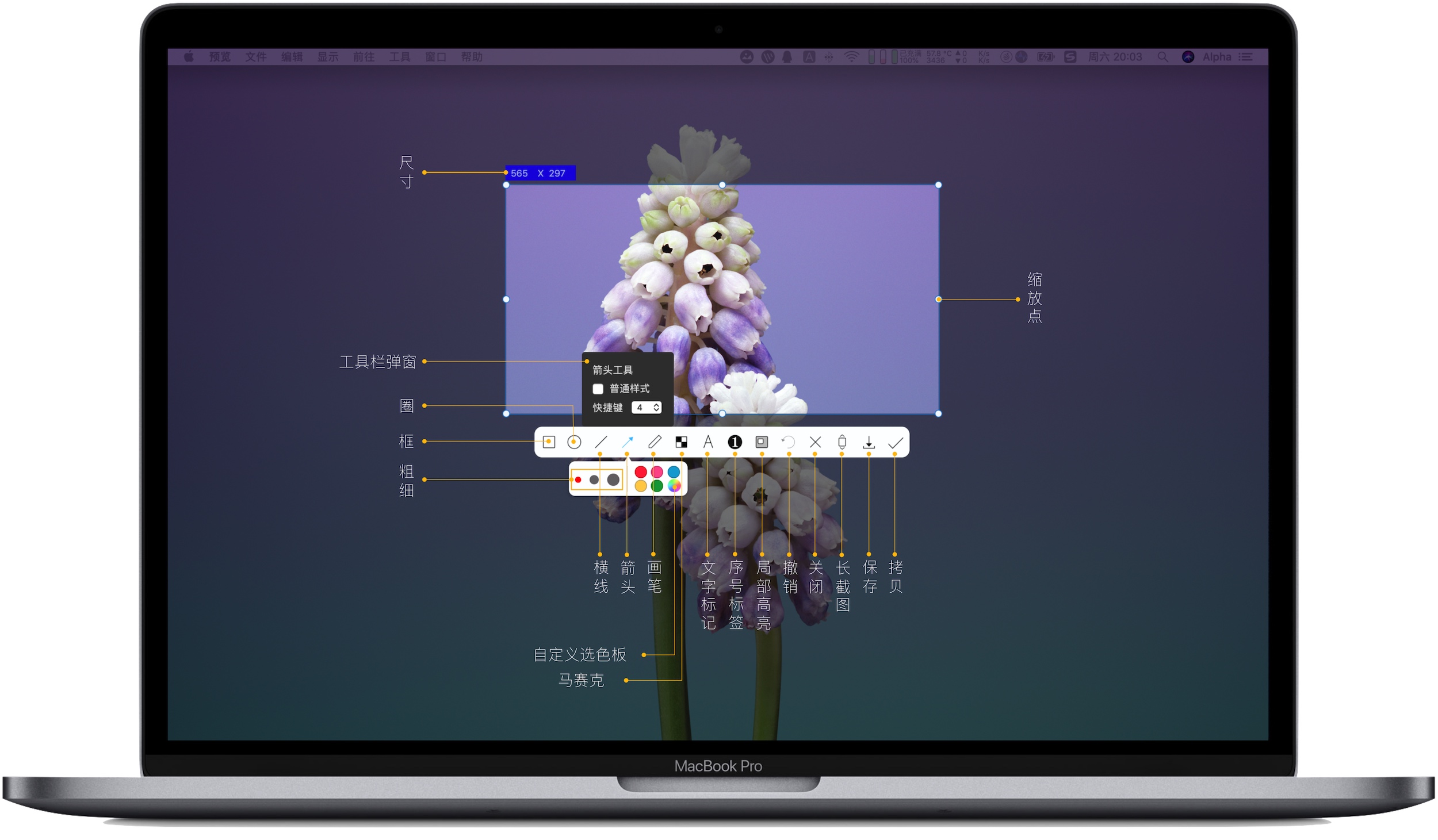 iShot Pro 2.3.5 强大的截图标注工具