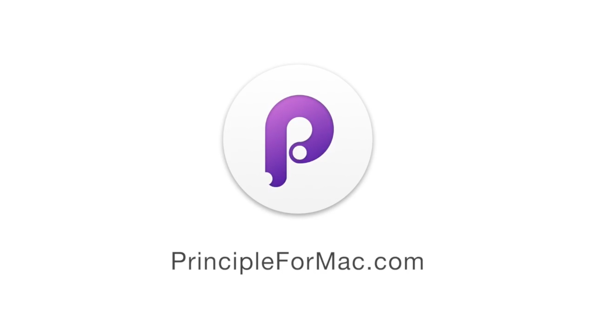 Principle 6.29.4 界面交互设计软件