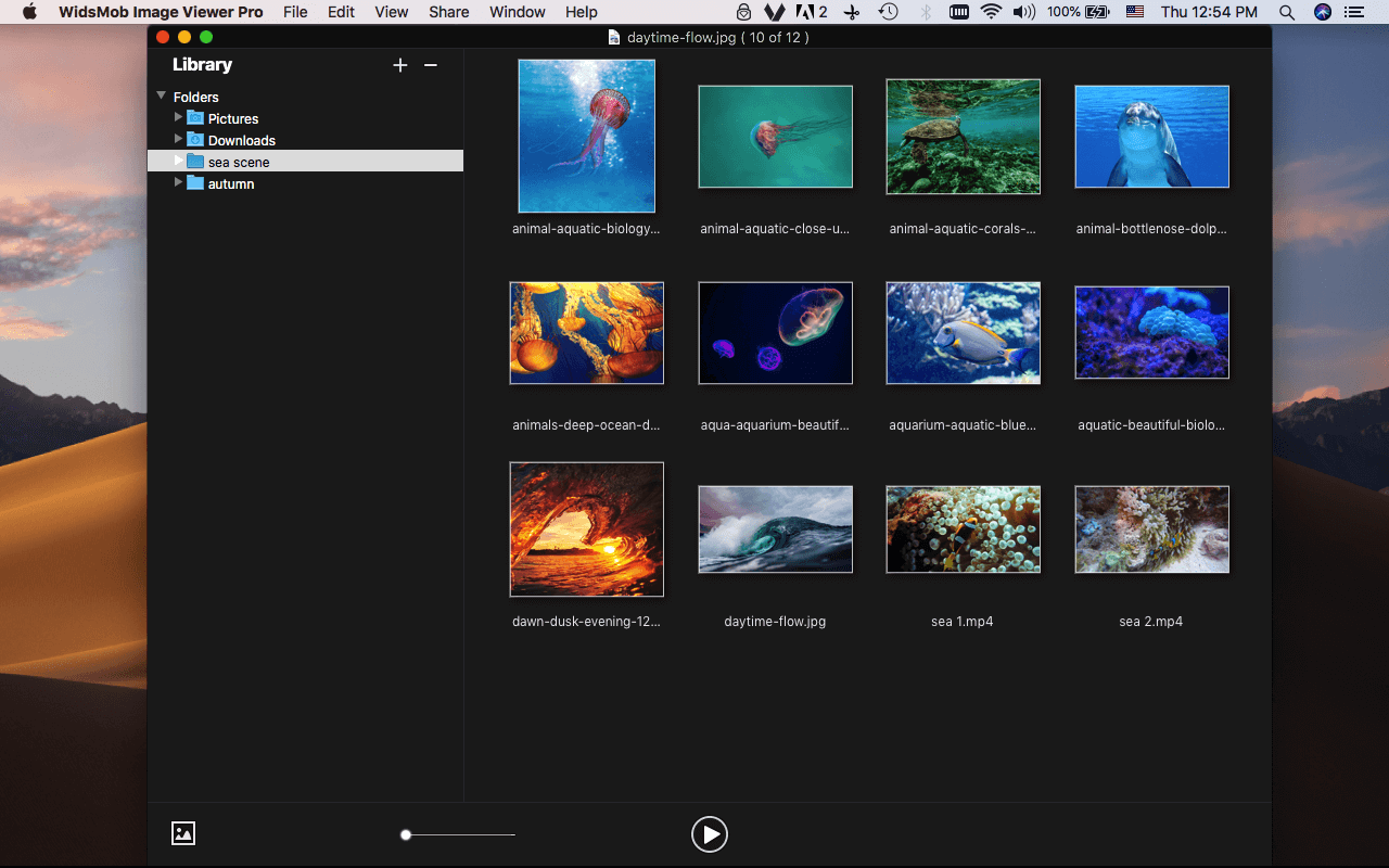 WidsMob Viewer Pro 2.18 快速的媒体查看器