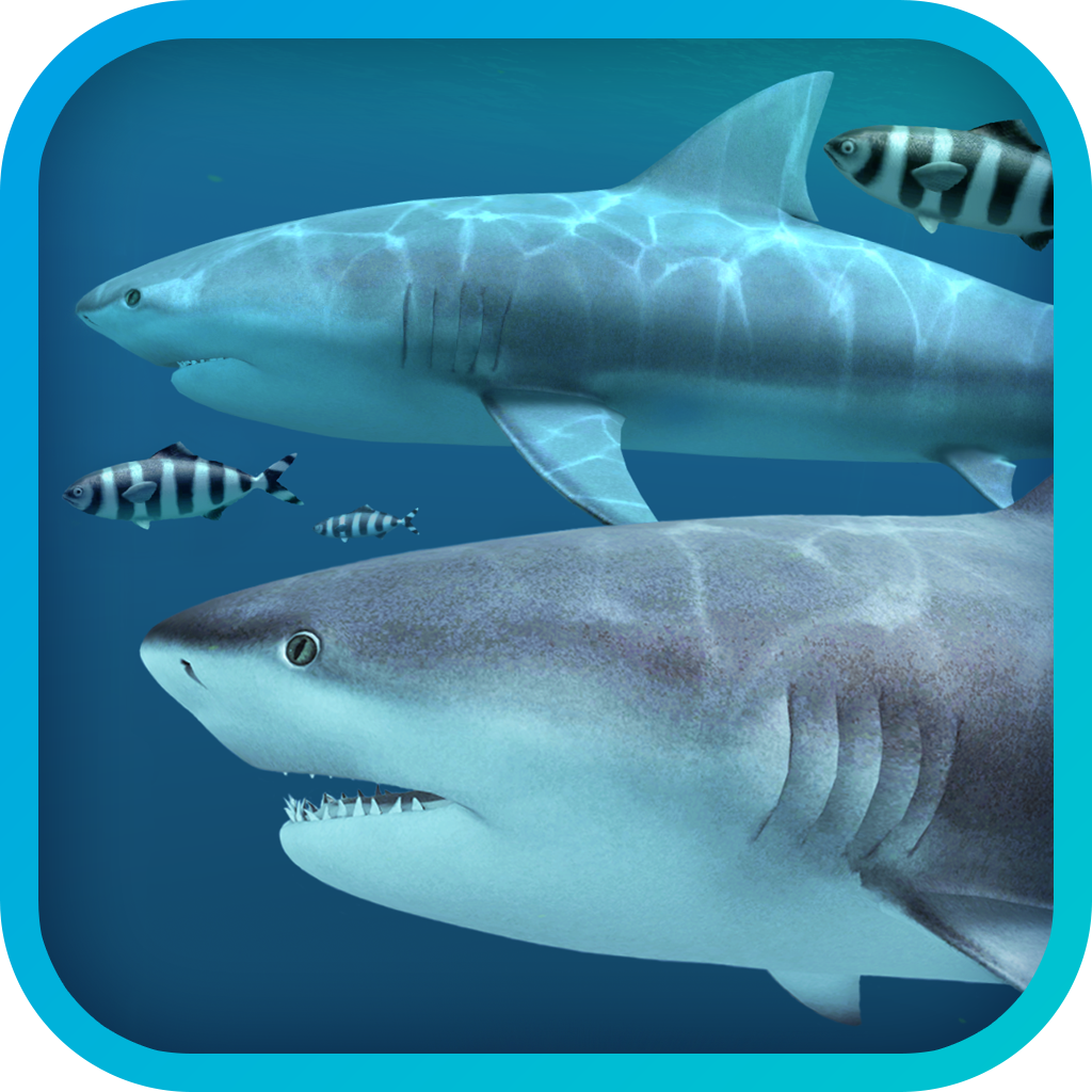 Sharks 3D 2.1.0 3D动态鲨鱼壁纸