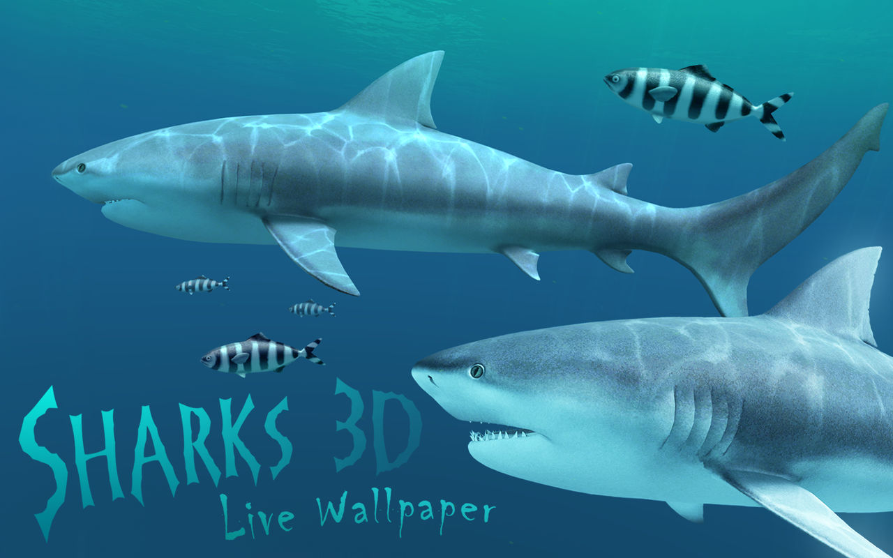 Sharks 3D 2.1.0 3D动态鲨鱼壁纸