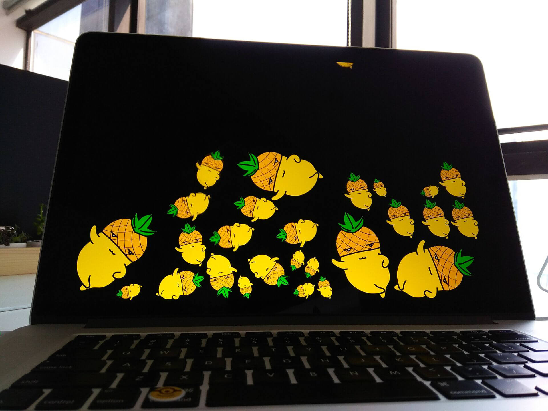 Macbl Screen saver 1.0 创意菠萝屏保