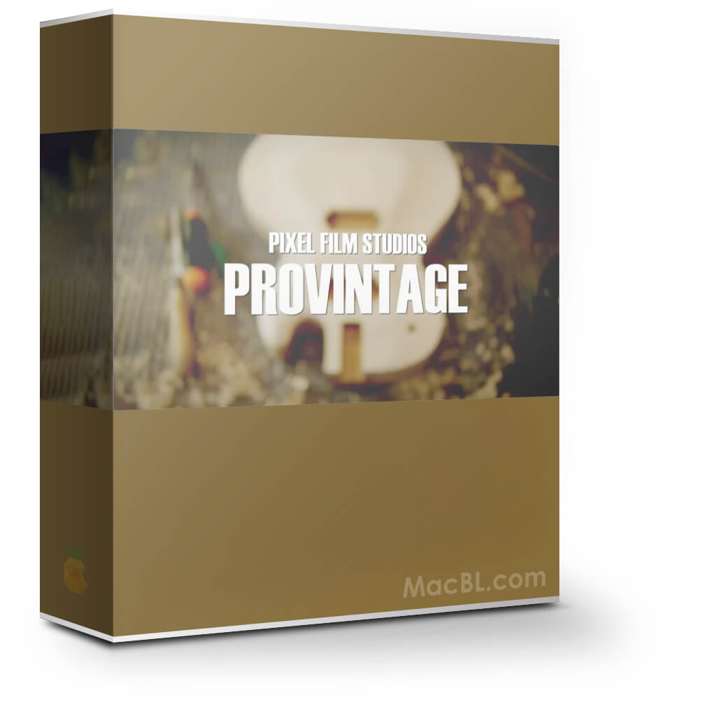 ProVintage 1.0 复古调色效果