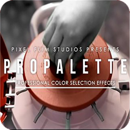 PIXEL FILM STUDIOS - PROPALETTE 2014 for Mac|Mac版下载 | 