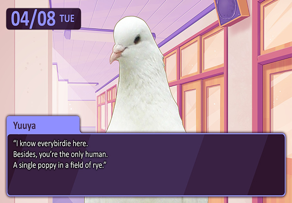 帅鸽男友 1.0 for Mac|Mac版下载 | Hatoful Boyfriend