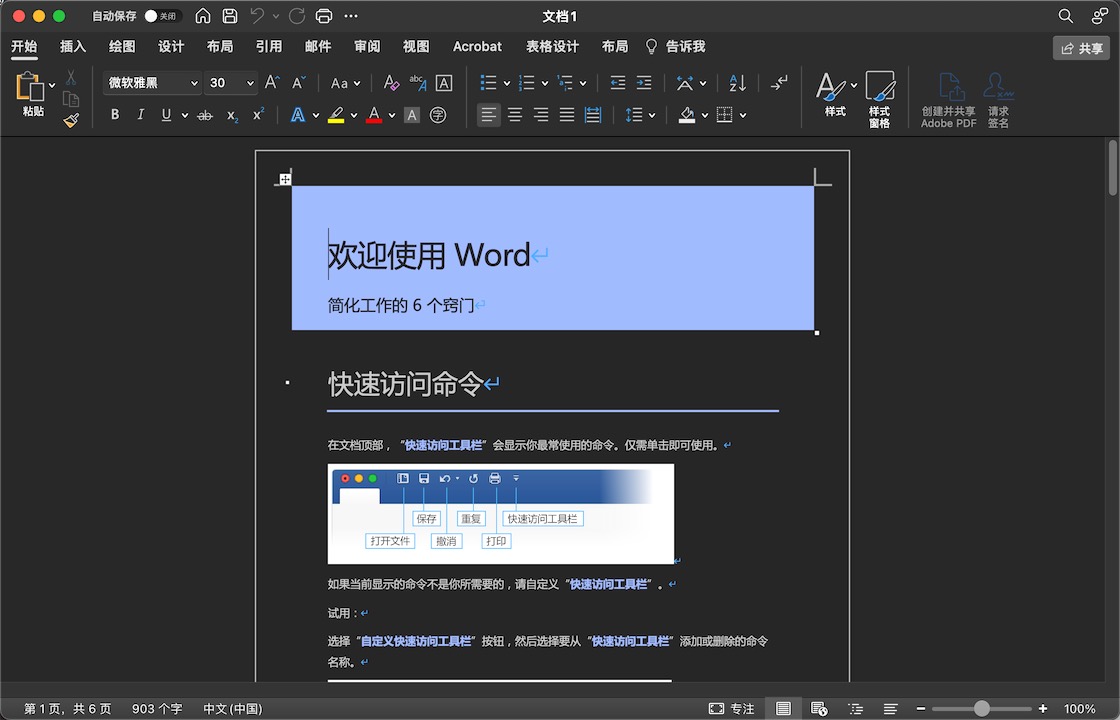 Office 2021 16.77 for Mac|Mac版下载 | 办公软件套装