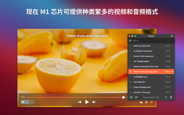 Elmedia Player Pro 8.16 for Mac|Mac版下载 | 多功能影音播放器