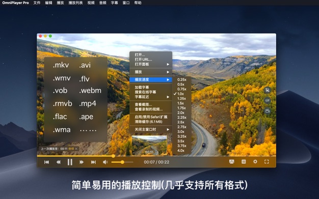 OmniPlayer Pro 2.0.19 for Mac|Mac版下载 | 全能影音播放器