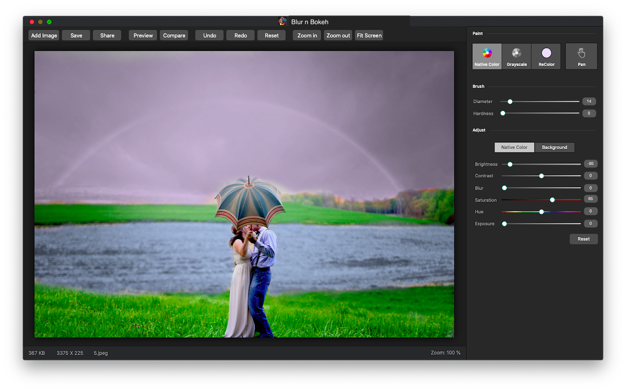 Splash n Recolor(Image Splash) 4.3 for Mac|Mac版下载 | 将照片局部转换成黑白