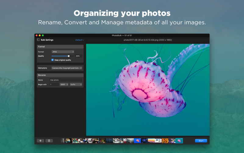 PhotoBulk: watermark in batch 2.6 for Mac|Mac版下载 | 图片批量水印工具