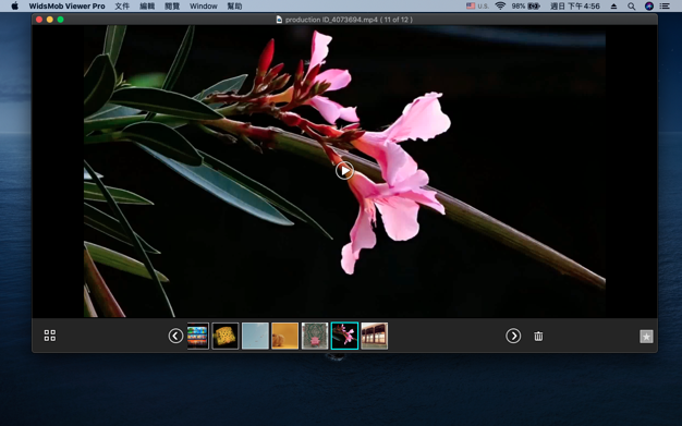 WidsMob Viewer Pro 2.19 for Mac|Mac版下载 | 图像查看器