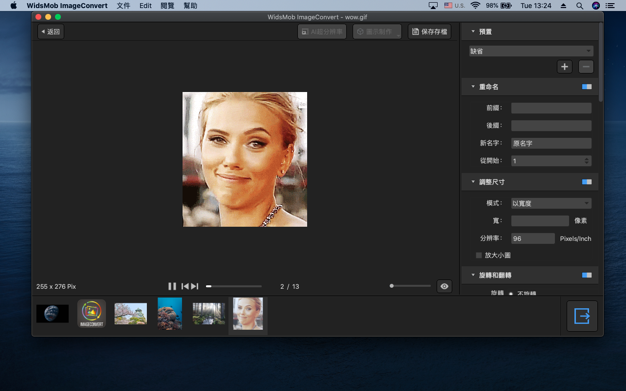 WidsMob ImageConverter 3.25 for Mac|Mac版下载 | 图像格式转换