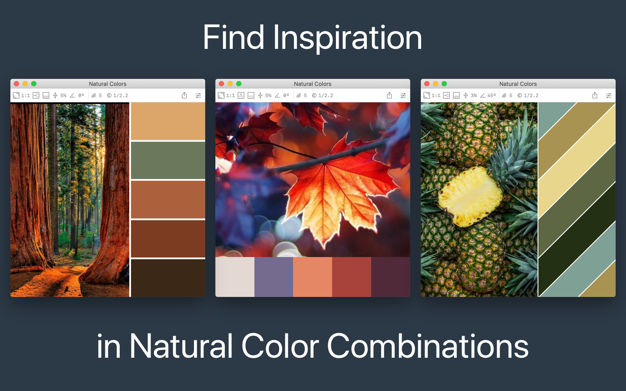 Color Palette from Image 2.2.1 for Mac|Mac版下载 | 拾色器