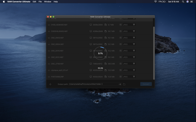 RAW Converter Ultimate 3.1.1 for Mac|Mac版下载 | RAW照片格式转换工具