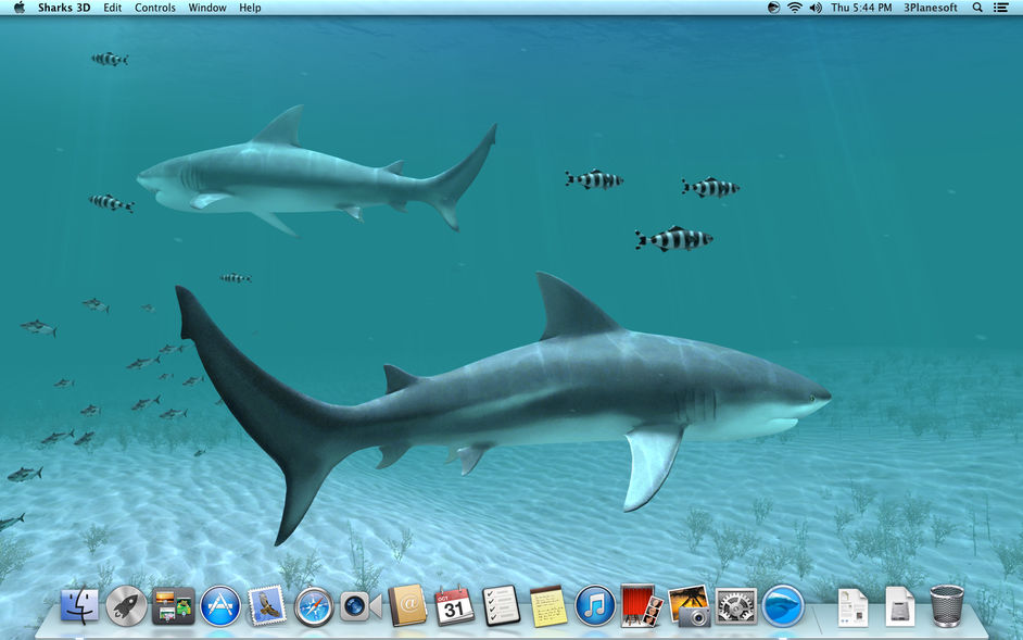 Sharks 3D 2.1.0 for Mac|Mac版下载 | 3D屏保