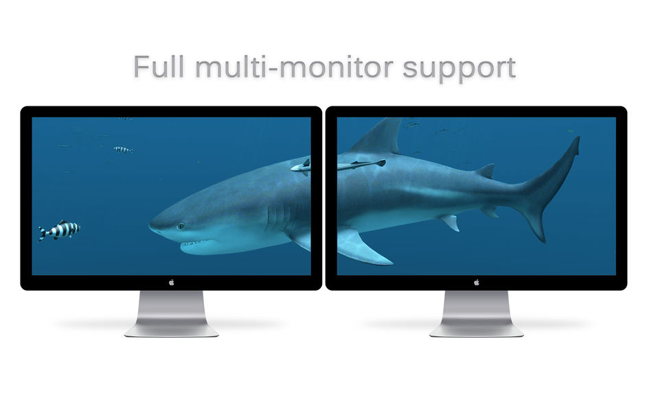 Sharks 3D 2.1.0 for Mac|Mac版下载 | 3D屏保