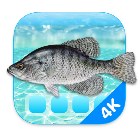 Aquarium 4K - Live Wallpaper 1.0.4 for Mac|Mac版下载 | 4K高清动态壁纸